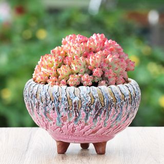 Handmade Pottery Planter Ceramic Pot