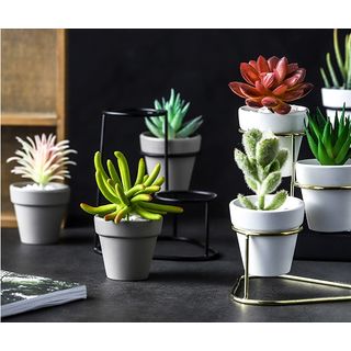 Table Planter Set Of 3