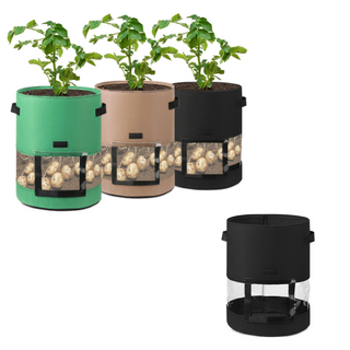 3 Pcs 360 Transparent Planting Growing Bag