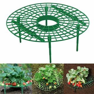 Strawberry Planting Plate Holder