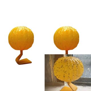 Insect Fly Catcher Melon Fruit Ball