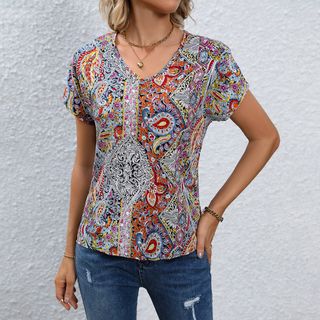 Women Ethnic Printed V-Neck Top