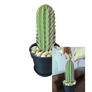3D Printed Cactus Toothpick Holder Decor