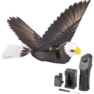 Zing Go Go Bird Premium Eagle Remote Control