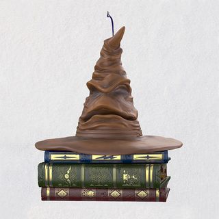 Harry Potter Sound Sorting Resin hat