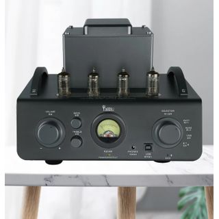 Yaqin CS-201 Vacuum Tube Amplifier