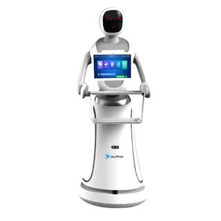 CSJ Humanoid Service Robot