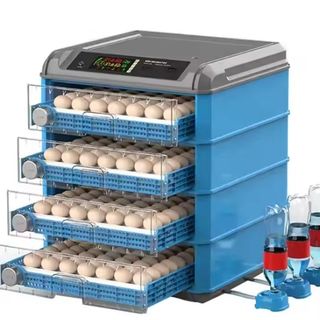 500 Capacity Egg Incubator