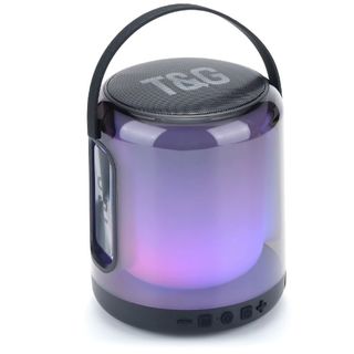 TG376 Portable Blue Tooth Desktop Speaker