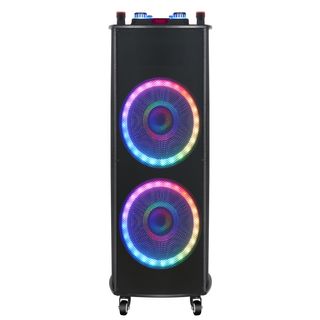 NDR-1212S Wireless Karaoke KTV Speaker