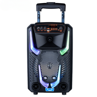 8 Inch Bluetooth Trolley Karaoke Speaker