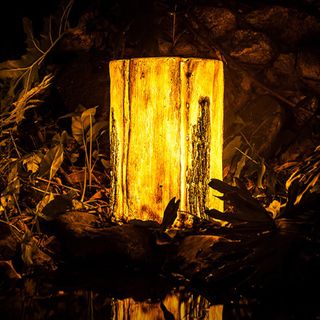 Wooden Tree Stump LED Lamp