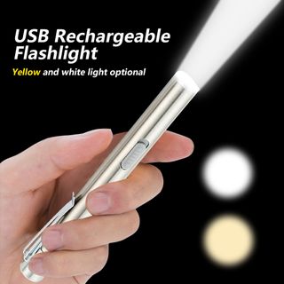 LED Stainless Steel Small Flashlight